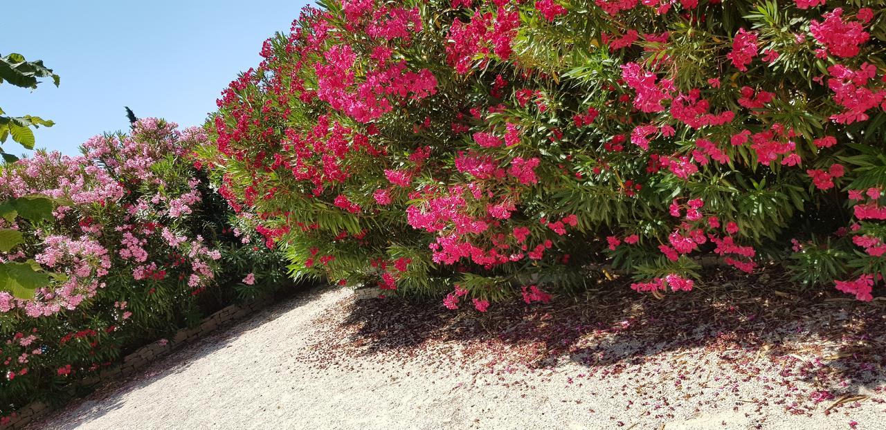 La Pastorale Bed and Breakfast Lagnes Εξωτερικό φωτογραφία